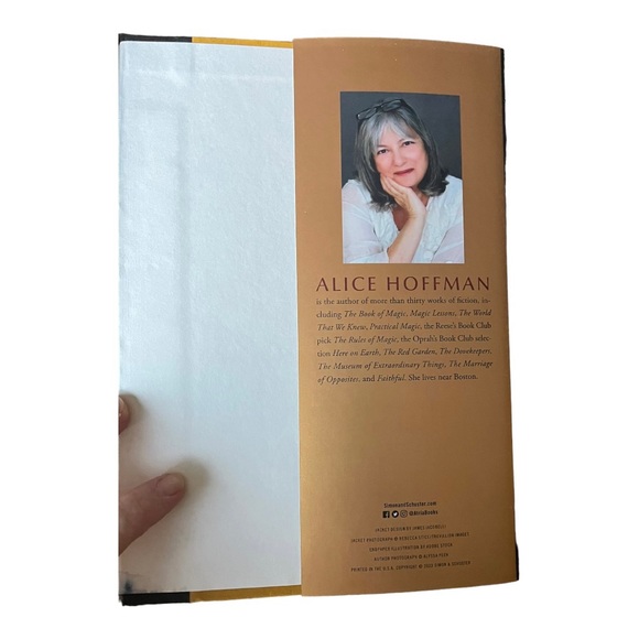 Alice Hoffman The Invisible Hour: A Novel Hardcover Book - Picture 8 of 10